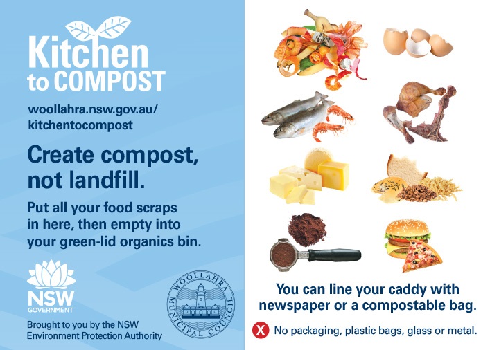 Kitchen to Compost caddy sticker.jpg